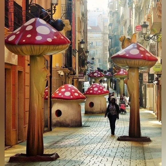 ๐โ๐ซ Meet your Mushroom Enthusiast, Maisel Liam! ๐โ๐ซ - Picture 6 of 9